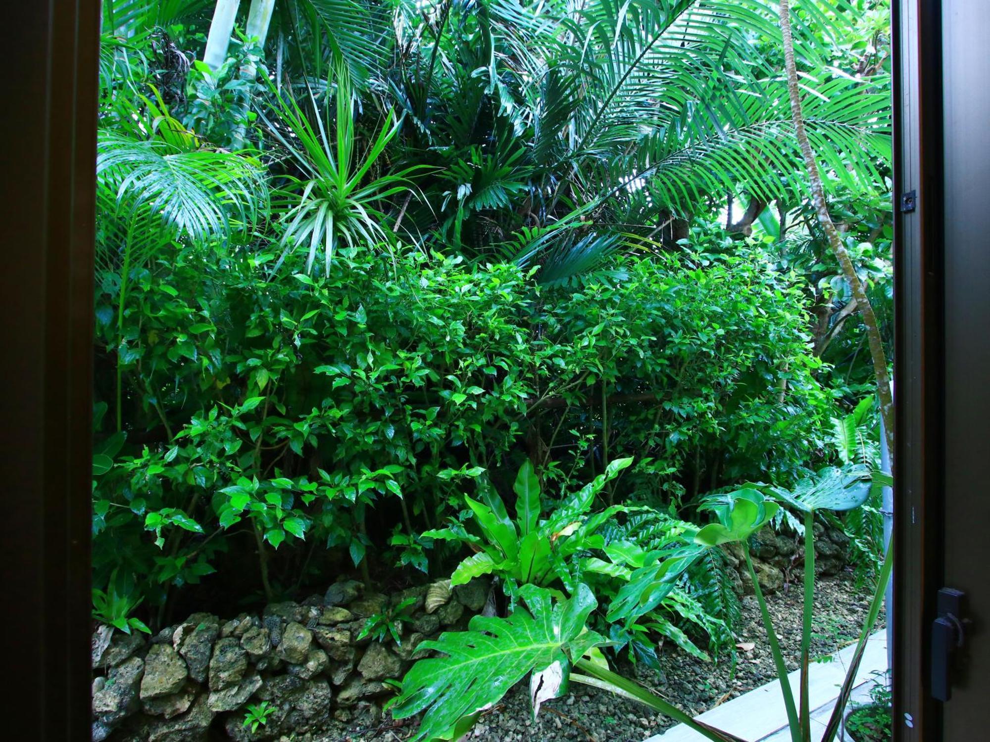Kachibai Villa Ishigaki  Buitenkant foto